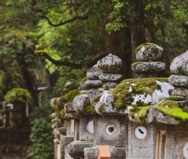 Japonya, Nara 'daki antik ormanda taş fenerler..