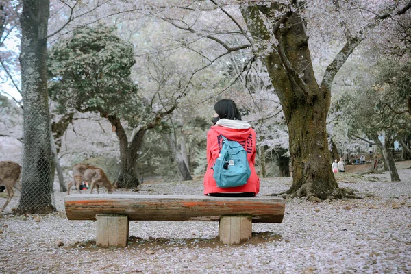 Nara, Japan - Apr 11, 2019. A woman enjoying cherry blossom in Nara Park, Japan.