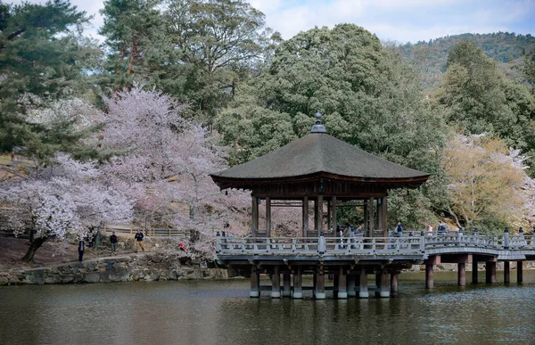 Nara Japan April 2019 Sechseckiger Pavillon Über Dem Sagiike Teich — Stockfoto