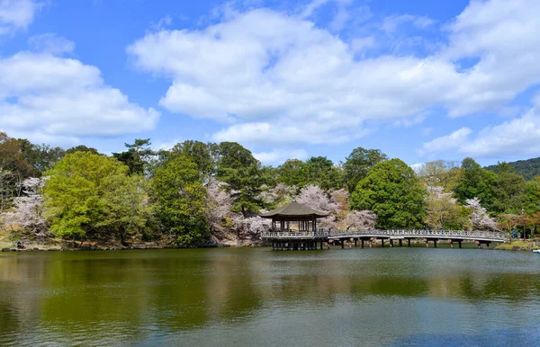 奈良公園の桜のある鷺池に浮かぶ六角形の展望台 — ストック写真