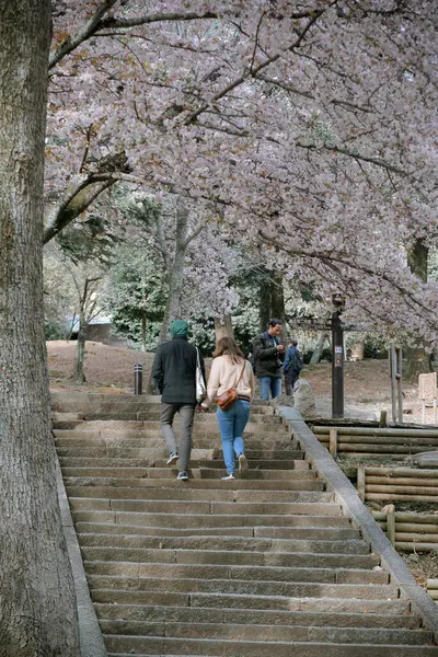 Nara Japan April 2019 Die Menschen Genießen Die Kirschblüte Hanami — Stockfoto