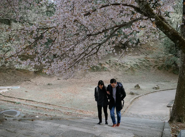 Nara Japonia Kwietnia 2019 Ludzie Lubią Kwiaty Wiśni Hanami Nara — Zdjęcie stockowe