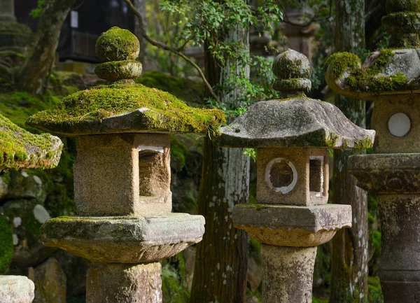 Steinlaternen Uralten Wald Nara Japan — Stockfoto