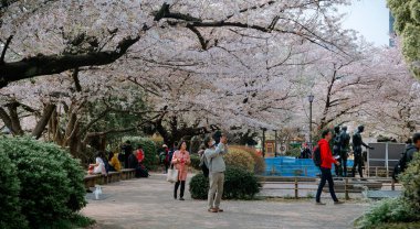 Tokyo, Japonya - 7 Nisan 2019. İnsanlar Tokyo, Japonya 'da kiraz çiçeği mevsiminin tadını çıkarıyorlar. Kiraz çiçeklerini (hanami) izlemek Japonya 'daki en büyük festivallerden biridir..
