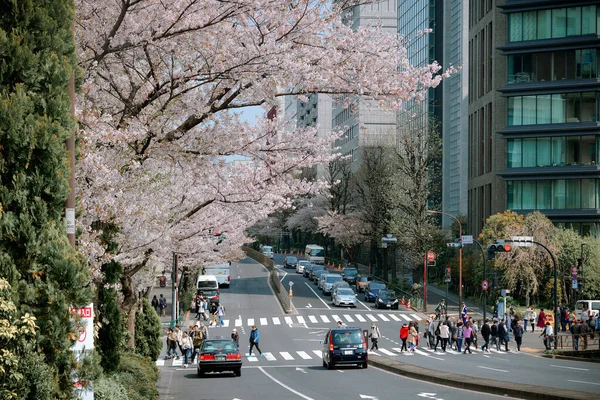 Tokio Japan April 2019 Straße Von Tokio Der Blütezeit Das — Stockfoto