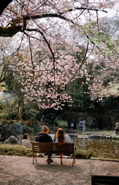 Tokio Japón Apr 2019 Gente Disfruta Temporada Flores Cerezo Tokio — Foto de Stock