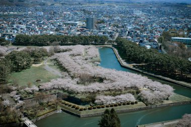 Hakodate, Japonya - 27 Nisan 2023. Hakodate, Hokkaido, Japonya 'daki Goryokaku Kalesi' nde kiraz çiçekleri çiçek açıyor. Goryokaku Kulesi 'nin gözlemevinden görüntü.