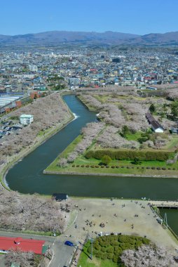 Hakodate, Japonya - 27 Nisan 2023. Hakodate, Japonya 'daki Goryokaku Kalesi' nde kiraz çiçekleri çiçek açıyor. Goryokaku Kulesi 'nin gözlemevinden görüntü.
