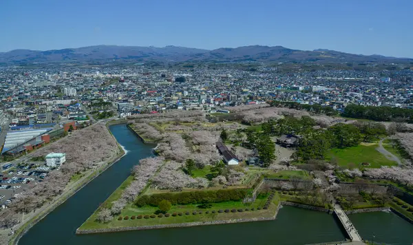 stock image Hakodate, Japan - Apr 27, 2023. Cherry blossoms in full bloom in Goryokaku Castle of Hakodate, Hokkaido, Japan. View from the observatory of Goryokaku Tower.