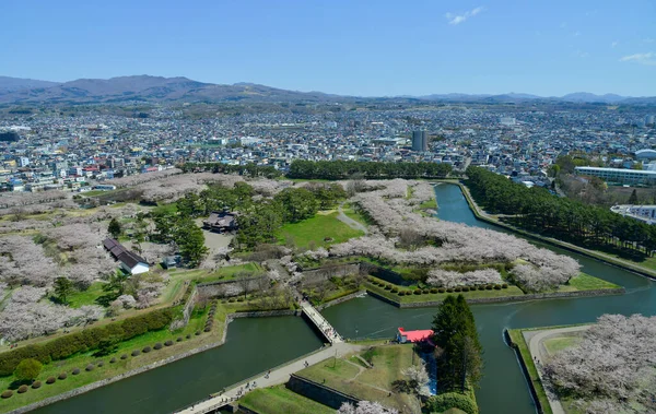 日本Hakodate 2023年4月27日 樱花盛开于日本花冈市高丽草谷城堡 从Goryokaku塔的观测台观看 — 图库照片