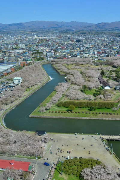 Hakodate, Japonya - 27 Nisan 2023. Hakodate, Japonya 'daki Goryokaku Kalesi' nde kiraz çiçekleri çiçek açıyor. Goryokaku Kulesi 'nin gözlemevinden görüntü.