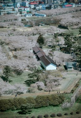 Hakodate, Japonya - 27 Nisan 2023. Hakodate, Japonya 'daki Goryokaku Kalesi' nde kiraz çiçekleri çiçek açıyor. Goryokaku Kulesi 'nin gözlemevinden görüntü.