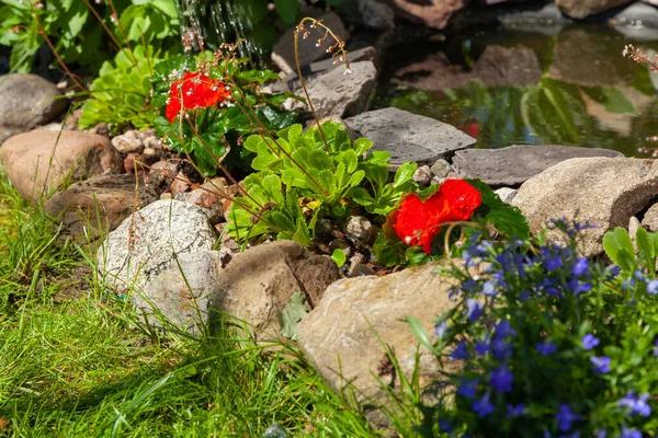 Gardener Waters Freshly Planted Flowers — Stock Photo, Image