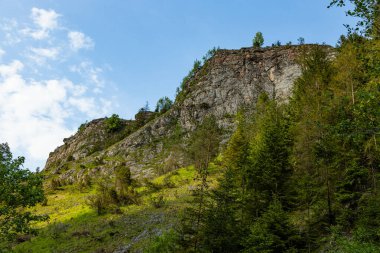 Kayaların manzarası. Homola Gorge 'da. Polonya. Pieniny Ulusal Parkı.