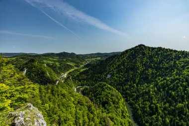 Pieniny Dağları 'nın güzel manzarası. Sokolica 'nın tepesinden görüntüle. 