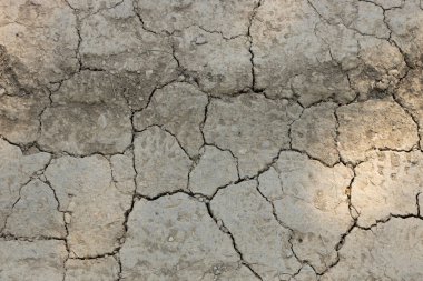 Kuraklık sırasında kuru toprak..