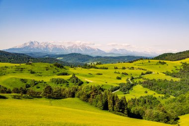 Tokarnia Geçidi 'nin güzel manzarası. Slovakya. Tatra Dağlarının Manzarası.