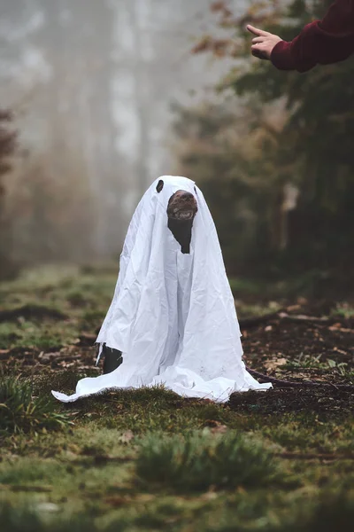 Dog Verkleed Als Een Geest Voor Halloween Hoge Kwaliteit Foto — Stockfoto
