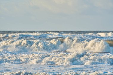 Danimarka 'nın fırtınalı kuzey kıyıları. Yüksek kalite fotoğraf