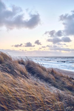 Danimarka sahillerindeki donmuş kum tepelerinden geçen yol. Yüksek kalite fotoğraf
