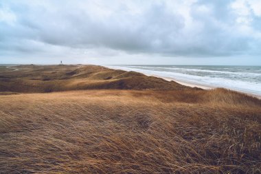 Batı Danimarka 'da Sonsuz Dune Manzarası. Yüksek kalite fotoğraf
