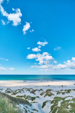 white sand dunes at danish coast. High quality photo
