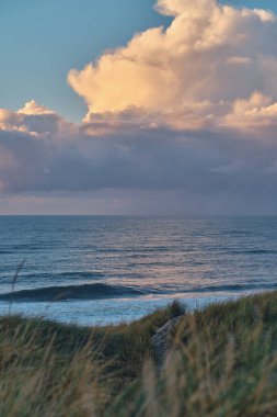 scenic coast of denmark. High quality photo