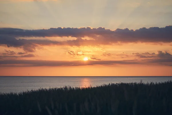 Солнце Садится Северного Моря Дании Высокое Качество Фото — стоковое фото