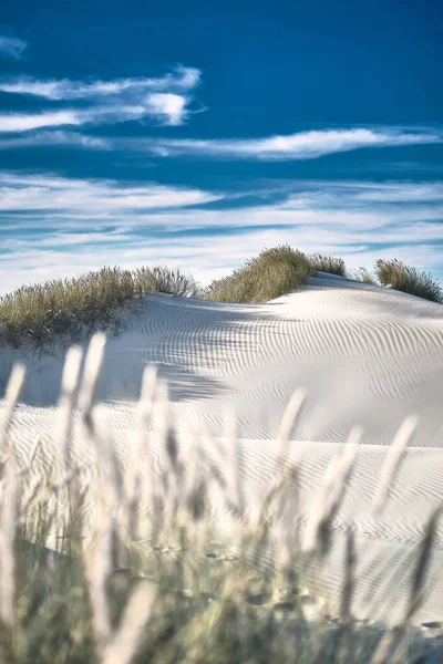 Dunas Areia Branca Norte Dinamarca Foto Alta Qualidade — Fotografia de Stock
