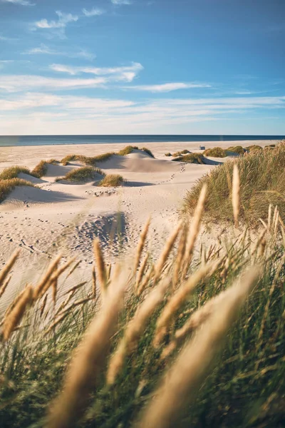 Krajobraz Przybrzeżny Północnej Danii Wysokiej Jakości Zdjęcie — Zdjęcie stockowe