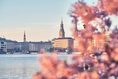 Hamburg Jungfernstieg, Kiraz Çiçekleri ile Sunrise 'da. Yüksek kalite fotoğraf