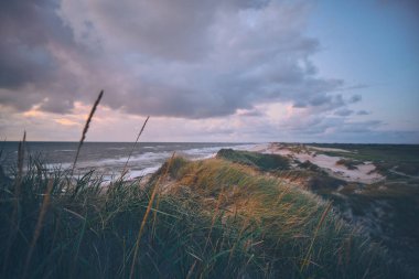 Danimarka 'nın batı kıyısındaki kum tepelerine akşam vakti genel bir bakış. Yüksek kalite fotoğraf