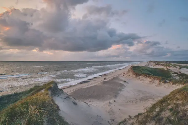 Erosion Vid Sanddyner Danska Västkusten Högkvalitativt Foto — Stockfoto