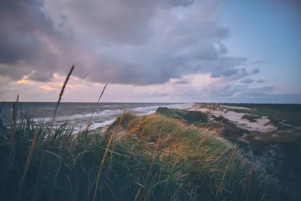 Przegląd Wydm Wieczornym Świetle Zachodnim Wybrzeżu Danii Wysokiej Jakości Zdjęcie — Zdjęcie stockowe