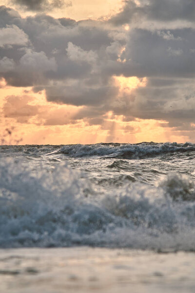 Waves at north sea in sunset light. High quality photo