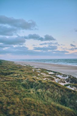 Kuzey Danimarka 'nın kıyı şeridinde kum tepeleri. Yüksek kalite fotoğraf
