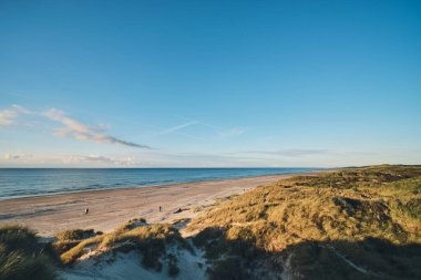 Kuzey Jammerbugten, Danimarka 'da yaz sonu. Yüksek kalite fotoğraf