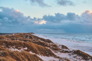 Snowy Dunes at denmarks north sea coast. High quality photo clipart