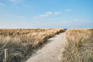 Almanya 'da Baltık Denizi' ndeki plaja giden yol. Yüksek kalite fotoğraf