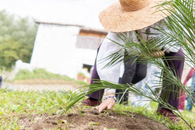 Çalılık dikerken tanınmayan bir kadın. Yüksek kalite fotoğraf