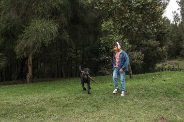 Siyah köpek elinde sopayla parkta yürüyen kulaklık takan mutlu çocuğa doğru koşuyor.