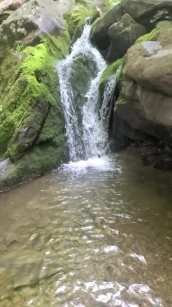 Slow Motion Waterfall Shenandoah National Park — Stockvideo