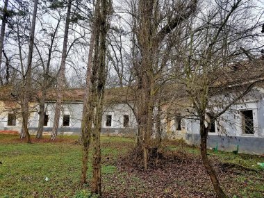 Eski, harap bir yapının bitki örtüsüyle kaplanmış kalıntıları.