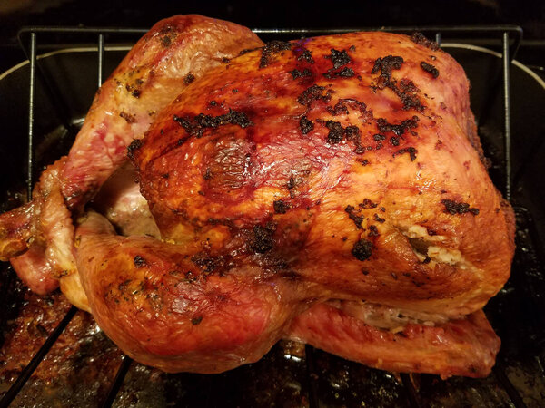 День благодарения жареная индейка с золотисто-коричневой кожей, в сковороде, украшенной травами. Хрустящая текстура демонстрирует ее восхитительный внешний вид. Капельки добавляют савори внешнего вида.