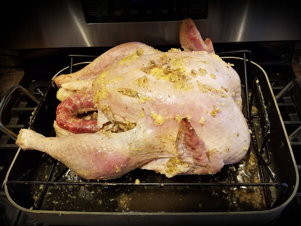 Сырая индейка, фаршированная смесью, отдыхающая на сковороде. Индейка имеет легкую приправу на коже и готова к приготовлению пищи. На заднем плане изображена обстановка кухни с плитой.