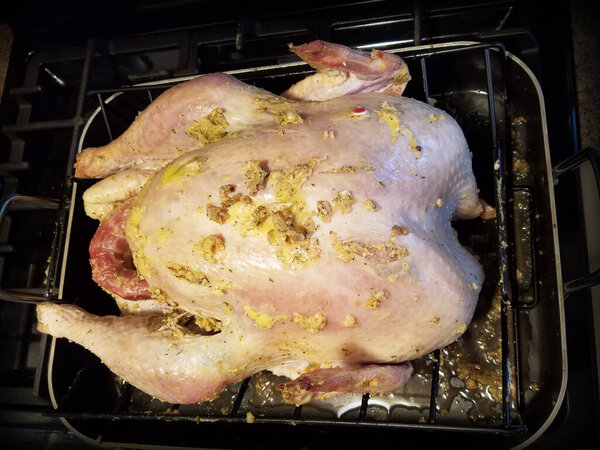 Сырая индейка, фаршированная смесью, отдыхающая на сковороде. Индейка имеет легкую приправу на коже и готова к приготовлению пищи. На заднем плане изображена обстановка кухни с плитой.