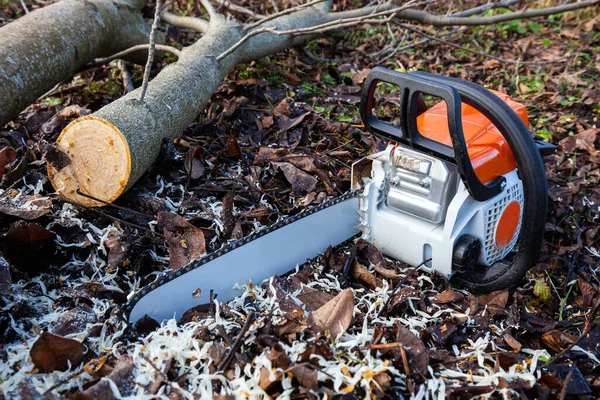 chainsaw on the background of fallen leaves, shavings and felled wood
