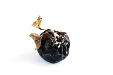 Beyaz arka planda küflü ve küflü siyah çürük elma