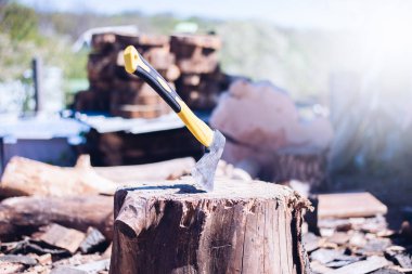 Yakacak odun kesmek için balta. Ormanın arka planında.