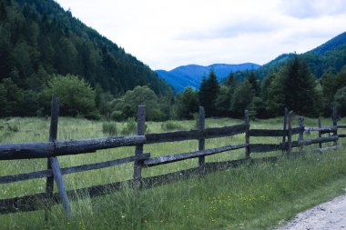 Karpat Dağları. Dağların arkasındaki eski çit. Yaz